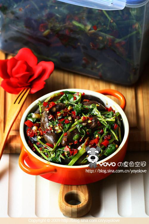 超美味腌小茄子的做法